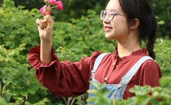 vs三国视频中心